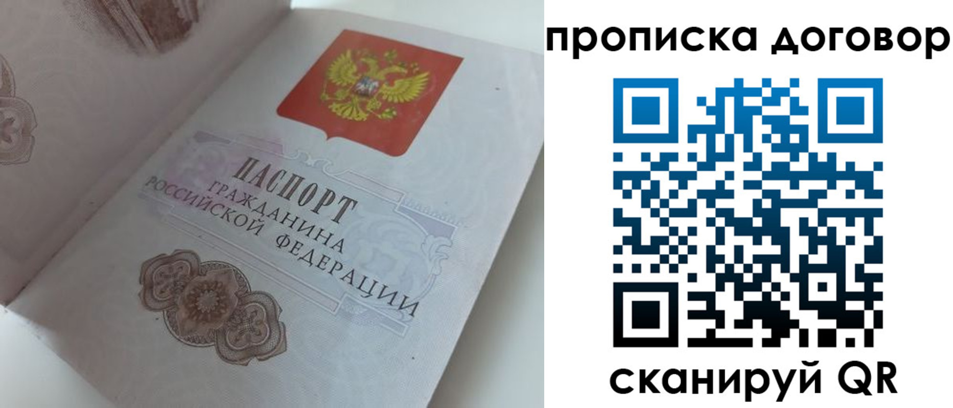 прописка поиск в Знаменске